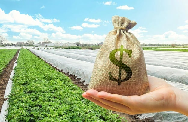 Có nên đầu tư mua đất nông nghiệp hay không? Ưu và nhược điểm 